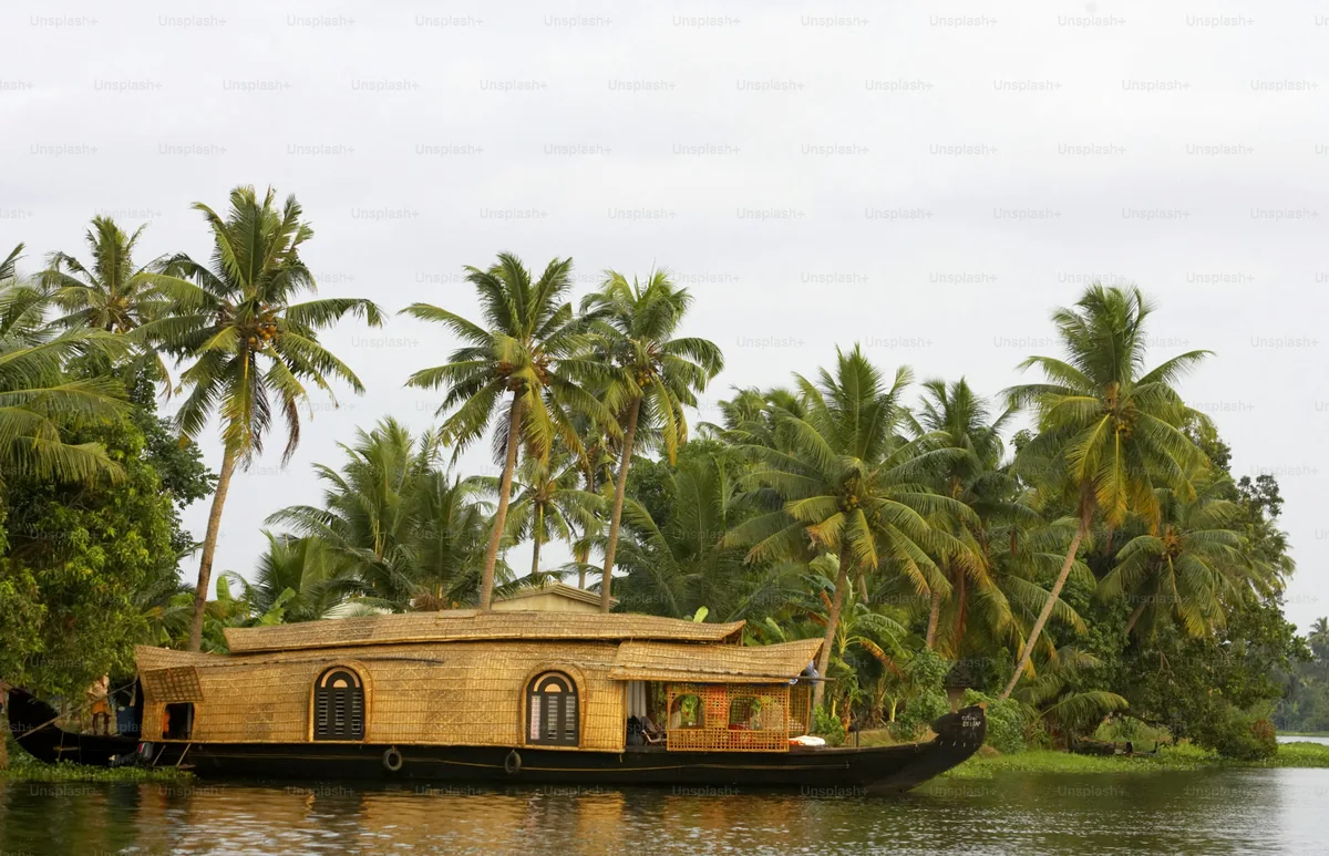 Illustrative view of palms along the backwaters