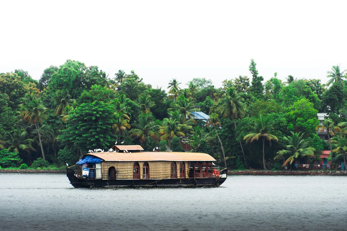 Illustrative palm-lined waterway